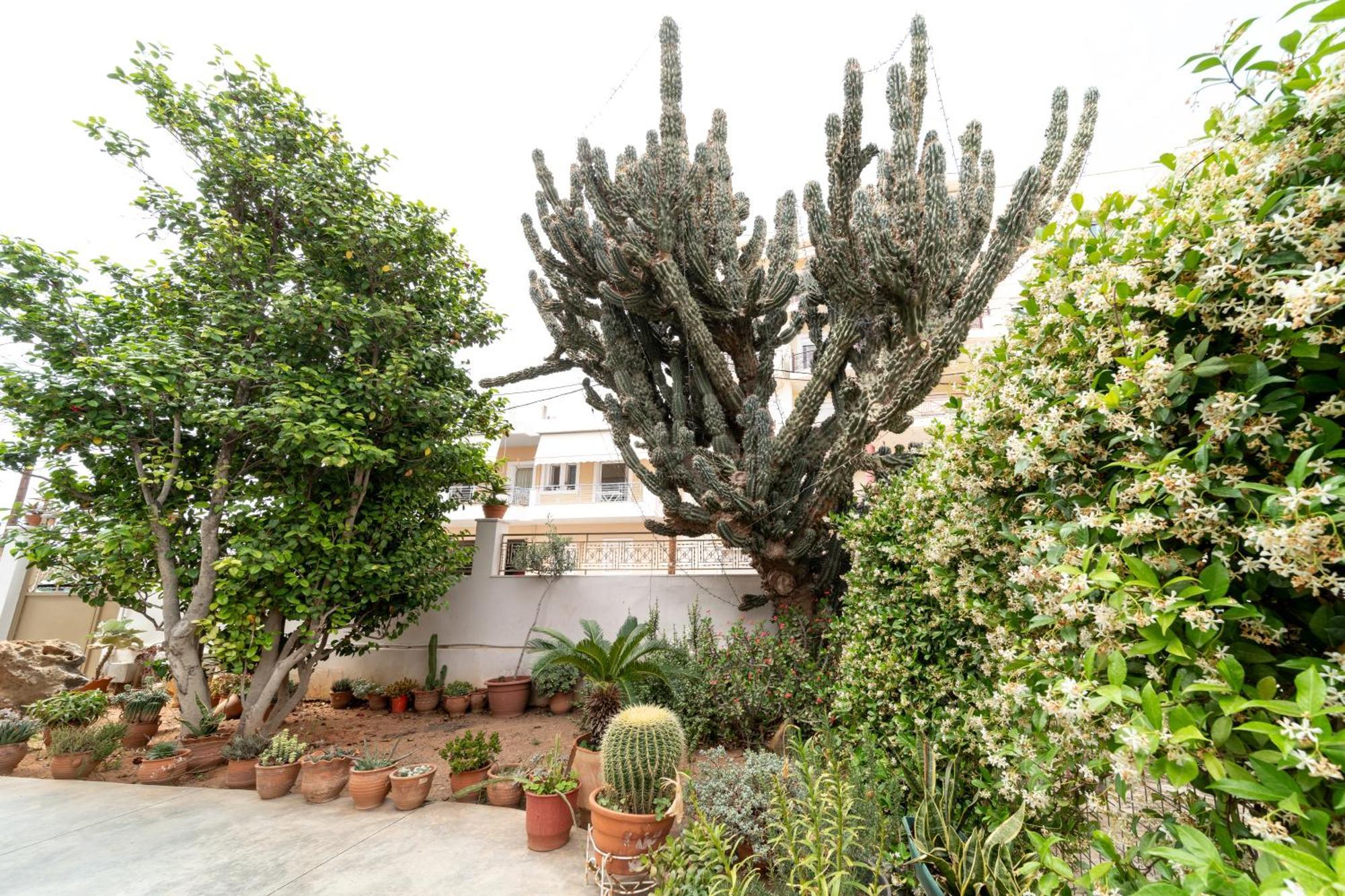 Cactus - Blooming Garden Apartments Kalamata Luaran gambar